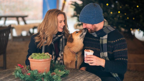 Visitors enjoying festive treats with their dog